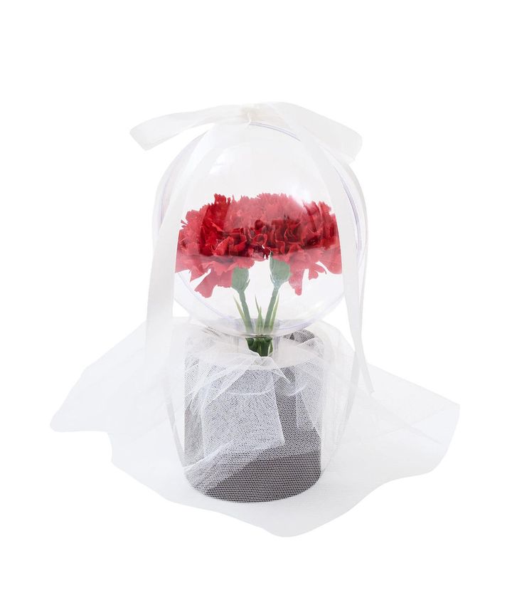 画像2: 出典：3COINS