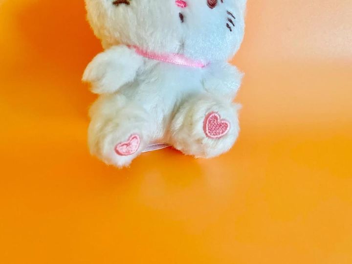 画像2: 出典：ftn_pics