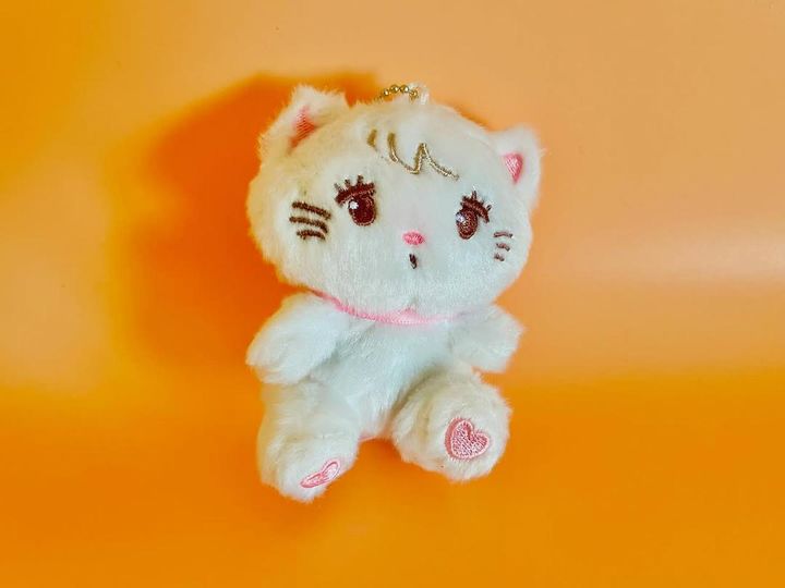 画像1: 出典：ftn_pics