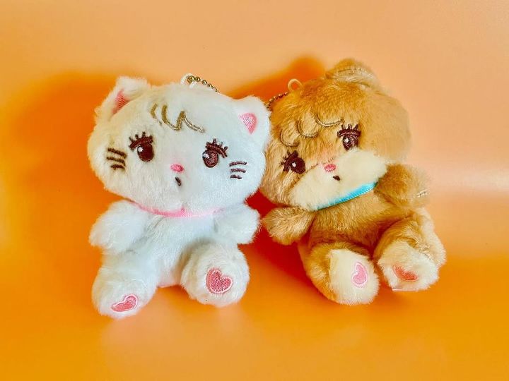 画像4: 出典：ftn_pics