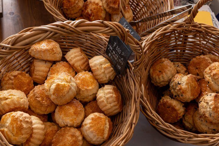 見頃を迎えたブルー一色のネモフィラの花畑、和カフェ、レトロ建築をめぐる茨城旅へ