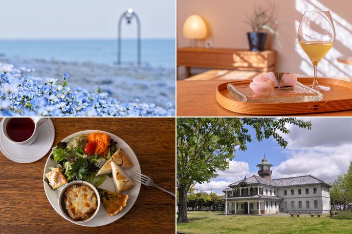 見頃を迎えたブルー一色のネモフィラの花畑、和カフェ、レトロ建築をめぐる茨城旅へ