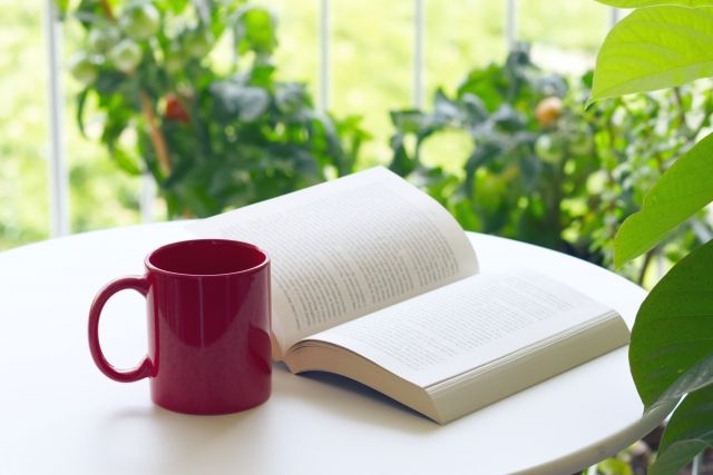 緑の中で読書 イメージ