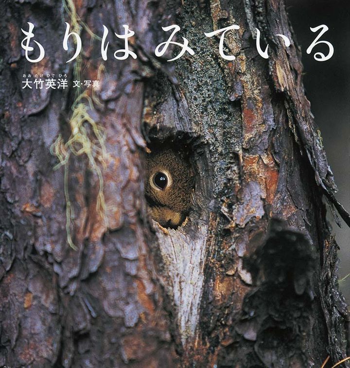 「もりはみている」大竹 英洋