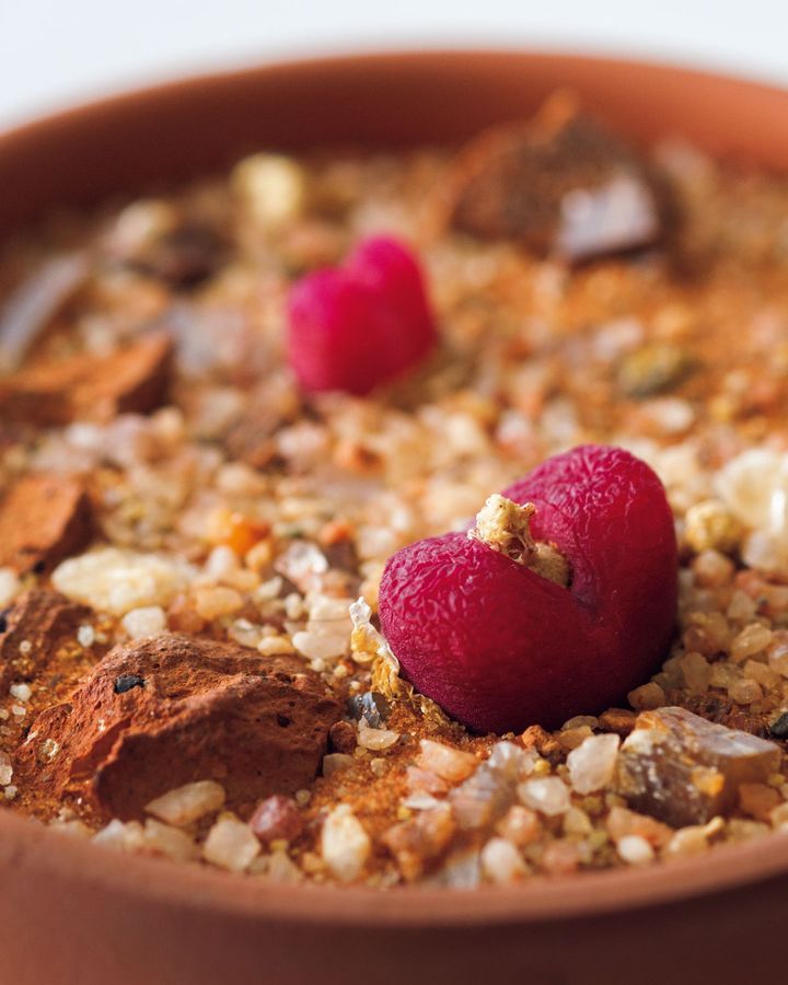 コノフィツム マウガニー