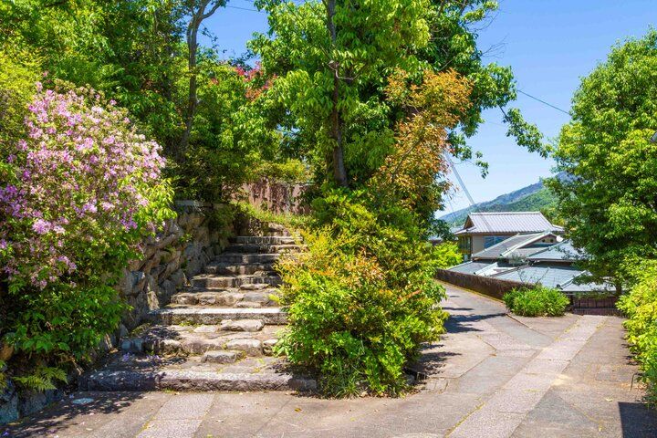 京都・吉田山の青もみじさんぽ、新緑に輝く神楽岡から京大キャンパスへ♪ 隠れ家カフェや庭園美術館も