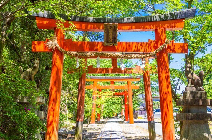 京都・吉田山の青もみじさんぽ、新緑に輝く神楽岡から京大キャンパスへ♪ 隠れ家カフェや庭園美術館も