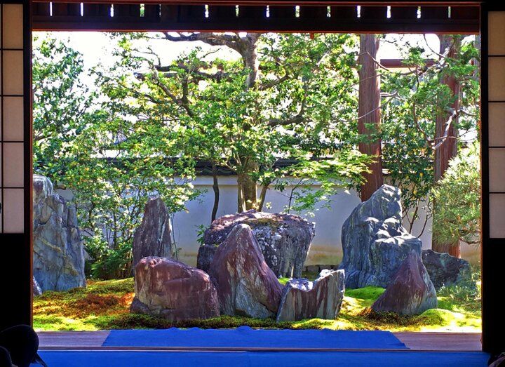 京都・吉田山の青もみじさんぽ、新緑に輝く神楽岡から京大キャンパスへ♪ 隠れ家カフェや庭園美術館も