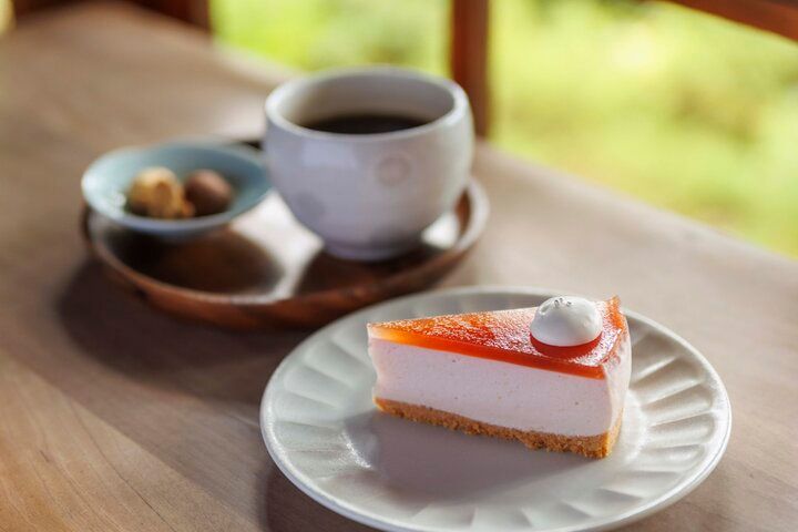 京都・吉田山の青もみじさんぽ、新緑に輝く神楽岡から京大キャンパスへ♪ 隠れ家カフェや庭園美術館も