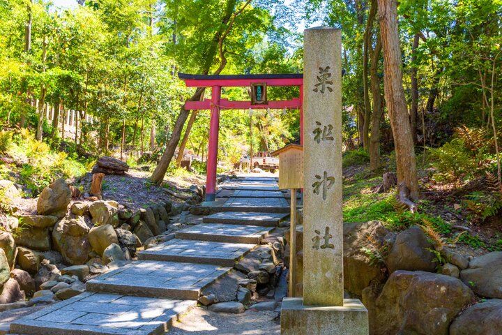 京都・吉田山の青もみじさんぽ、新緑に輝く神楽岡から京大キャンパスへ♪ 隠れ家カフェや庭園美術館も