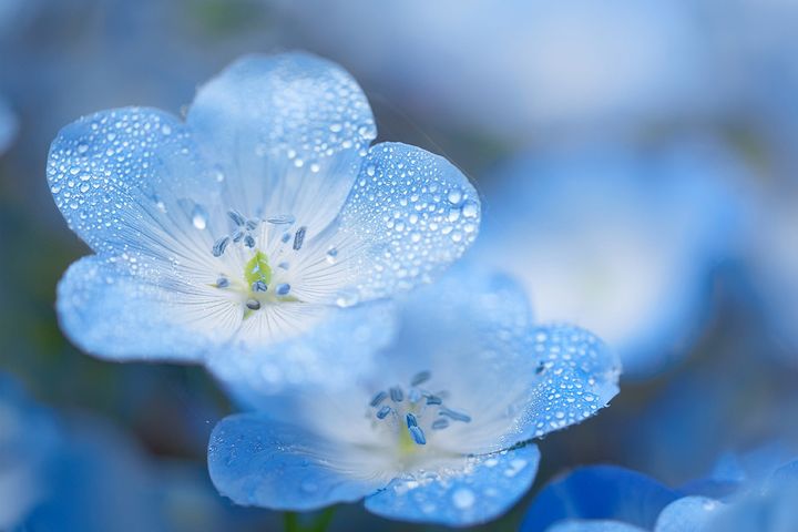 2025年5月の運勢（12星座別）