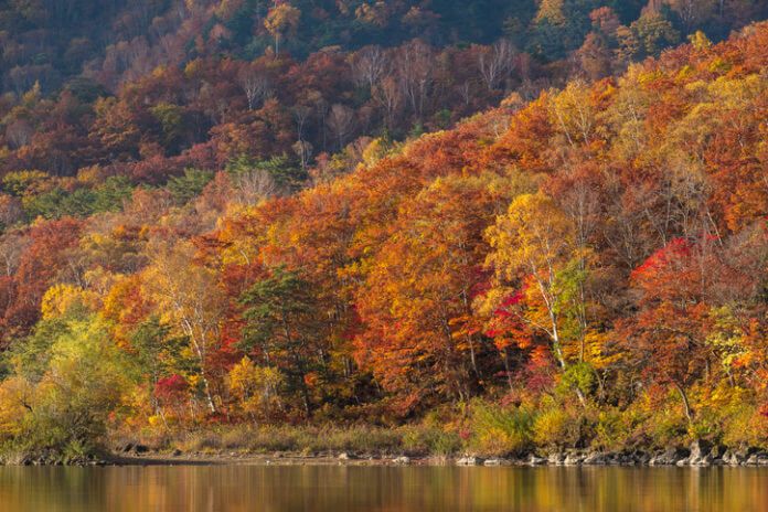 【2025年オススメ観光地】夫婦で旅行したいスポット8選