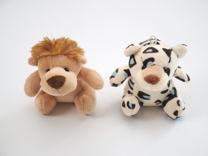 画像1: 出典：ftn_pics