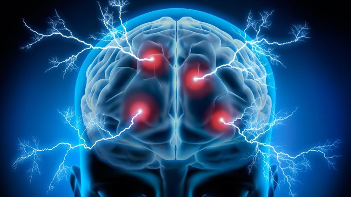 食事に頼らなくても腸内細菌は脳活動で変わる