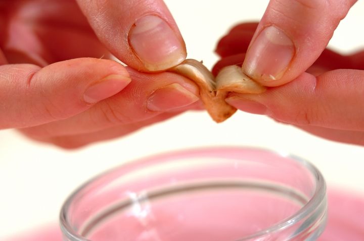 キノコとツナの佃煮の下準備1