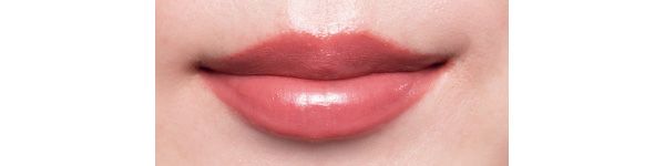 塗り比べ／ヴィセ ネンマクフェイク ルージュ RD451