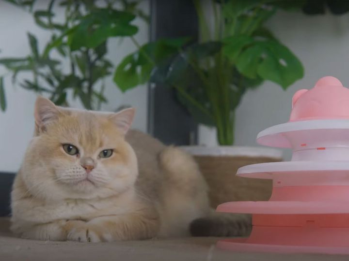 この表情、憎めない…！