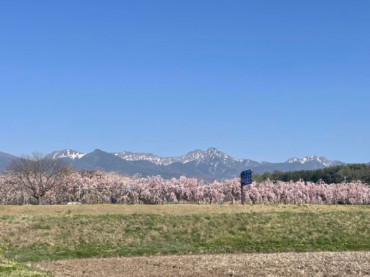 長野県蓼科の風景