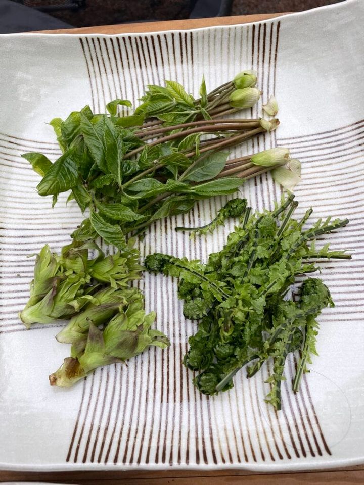 山菜