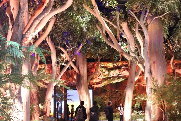 ことりっぷ編集部おすすめ♪「大阪・関西万博」の注目パビリオンをレポート