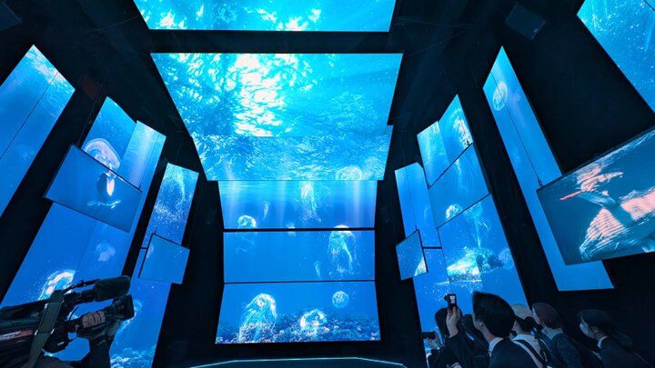 ことりっぷ編集部おすすめ♪「大阪・関西万博」の注目パビリオンをレポート