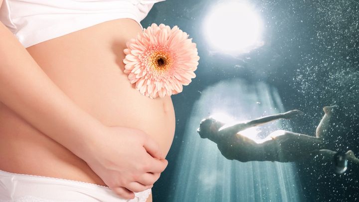 妊婦が潜ったから人類は進化した？