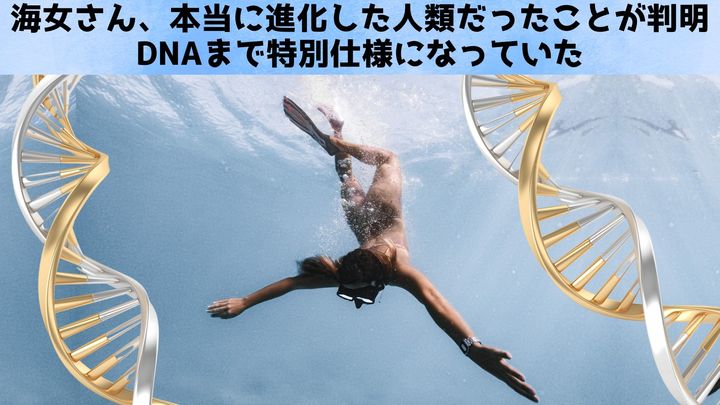 海女さん、本当に進化した人類だったことが判明：DNAまで特別
