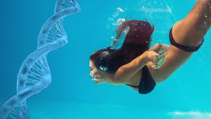 素潜り文化が生んだ人類の海適応