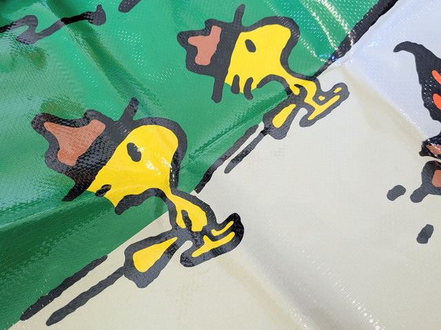 SNOOPY BEAGLE SCOUTS