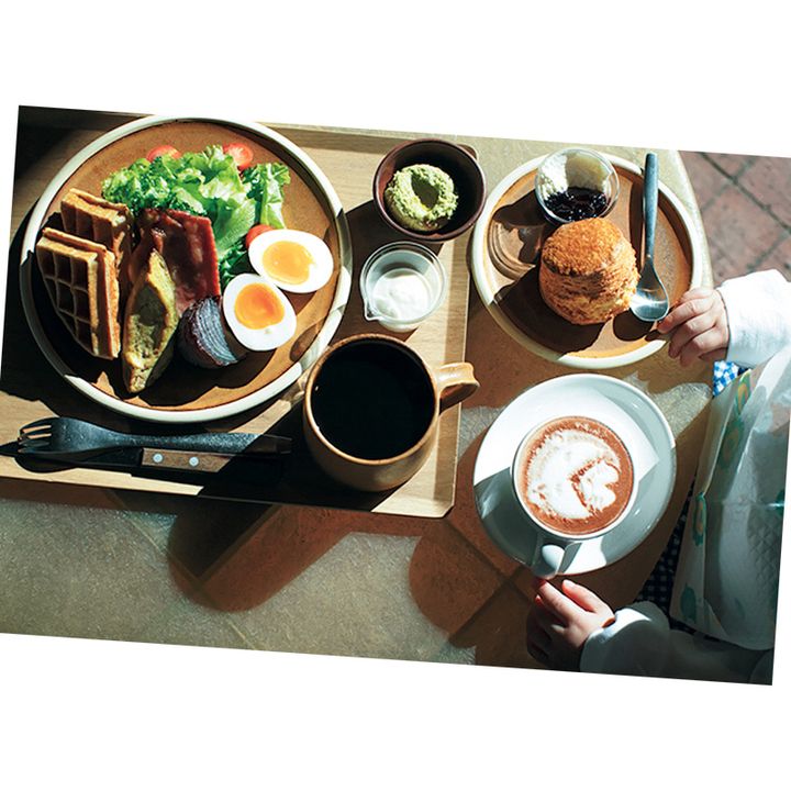 美味しそうなランチプレート