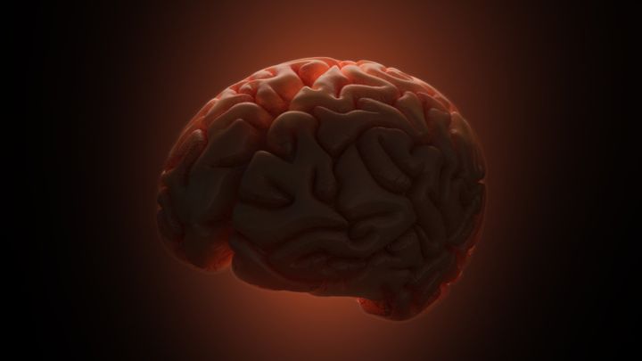 「脳内真っ白」の正体は脳内金縛りだった