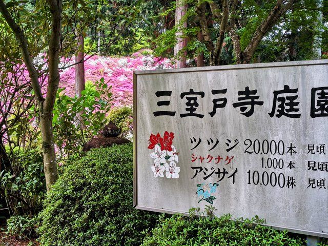 平戸ツツジ園入口