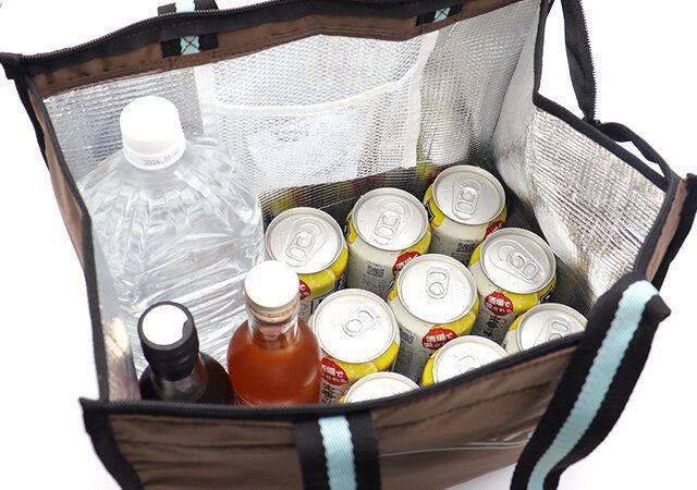 宝島社のInRed6月号付録のコールマンのクーラートート9