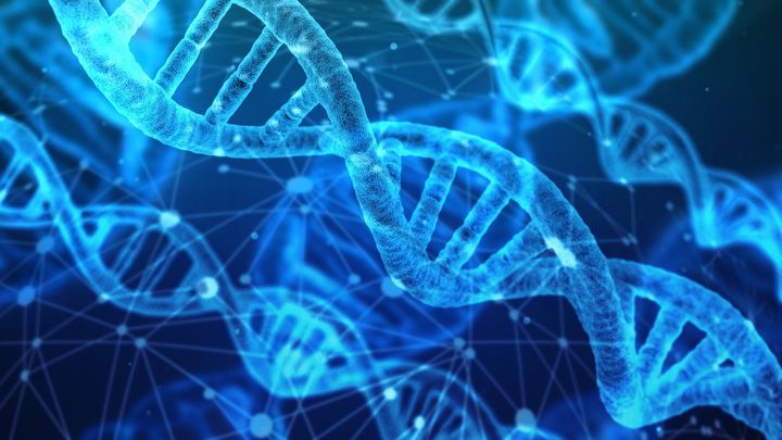 ２：愛のホルモンはストーカー遺伝子になりえる