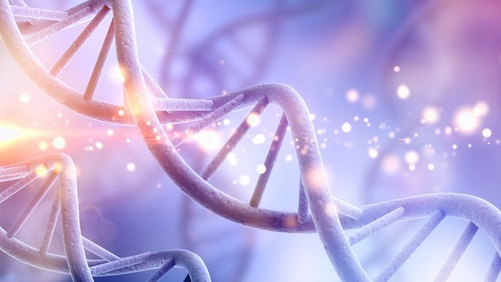 １：ストーカーと遺伝子