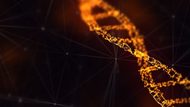 ４：結び『ストーカー遺伝子』は存在するのか？