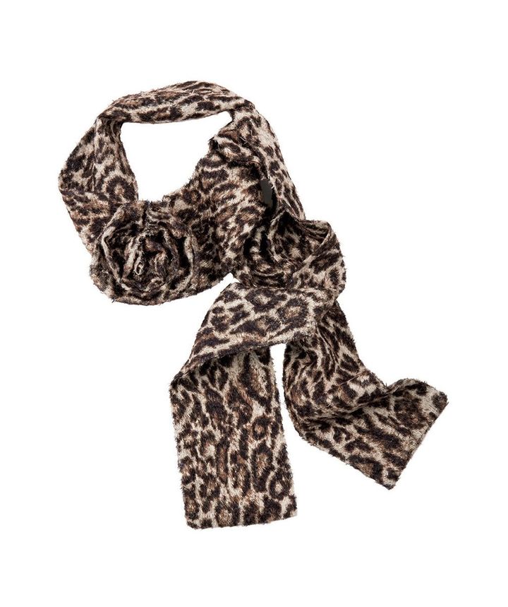 八木アリサとレオパード