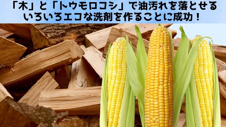 「木」と「トウモロコシ」で油汚れを落とせる洗剤を作ることに成功！