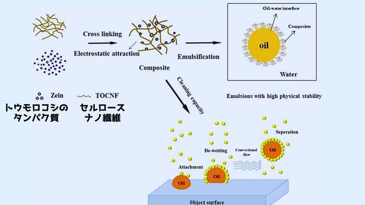 木とトウモロコシから生まれた「土に還る」洗剤