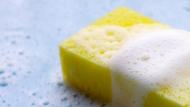 “油を鎧う粒子”が示した脱・化学洗剤の道筋