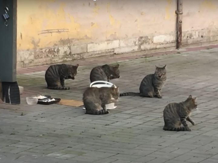 みんな自由に過ごしてる……と思いきや！