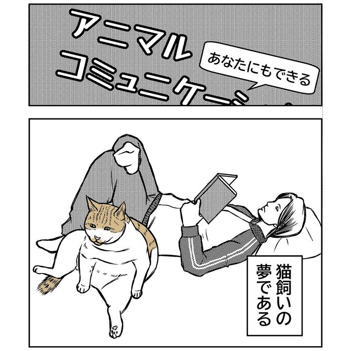 愛猫たちとのコミュニケーションについて描いた漫画のカット（輝け、フライデイさん提供）