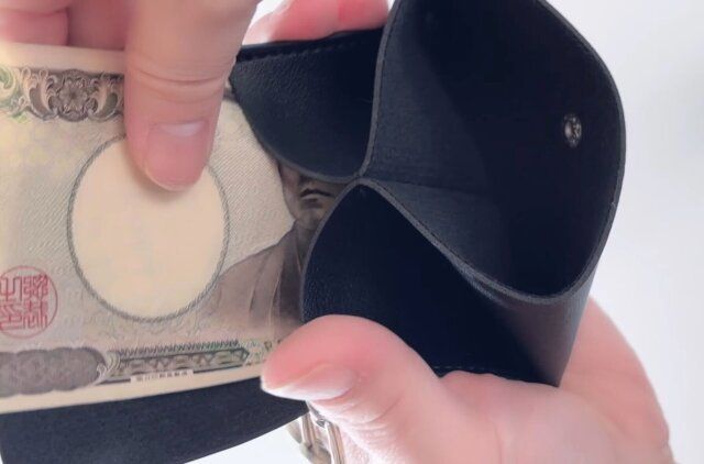 ダイソーのレザー調マルチウォレットケースはお札を折らずに収納できる