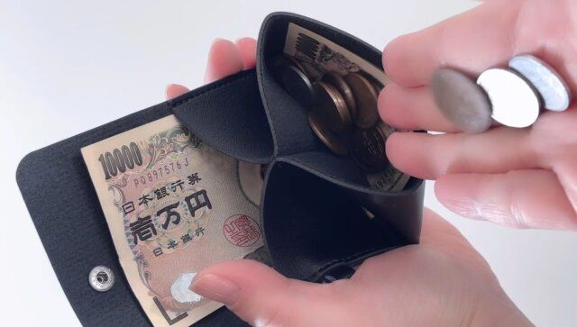ダイソーのレザー調マルチウォレットケースはお札とコインを収納できる