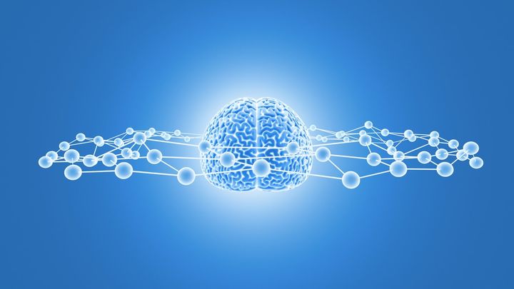 睡眠は「過去の整理」だけでなく「未来の記憶への投資」でもある