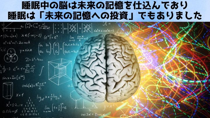 睡眠中の脳は未来の記憶を仕込んでいた：最新研究で判明