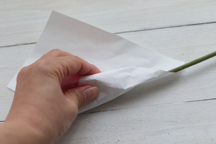 トルコキキョウを包む