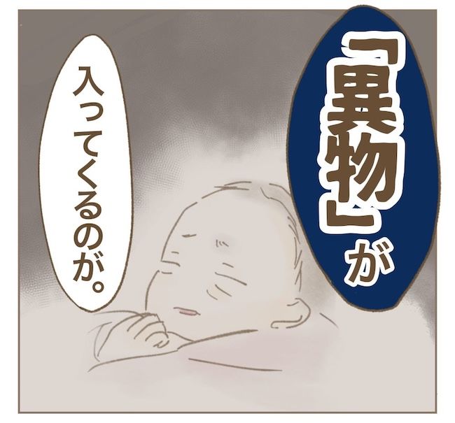 里帰り出産したら実姉がしんどかった件／ねぼすけ