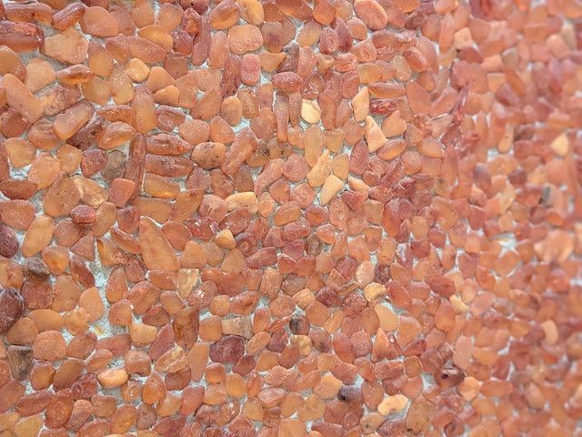 KO・HA・KU 代々木店