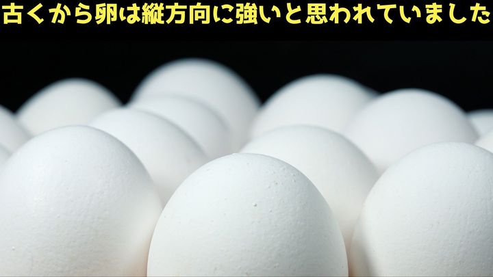 “卵は横が強い”衝撃の一報